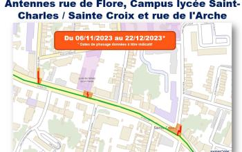 Flore / Campus / Arche 